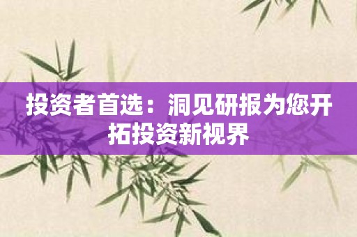 投资者首选：洞见研报为您开拓投资新视界