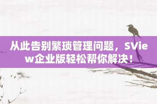 从此告别繁琐管理问题，SView企业版轻松帮你解决！