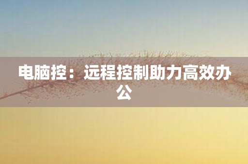 电脑控：远程控制助力高效办公