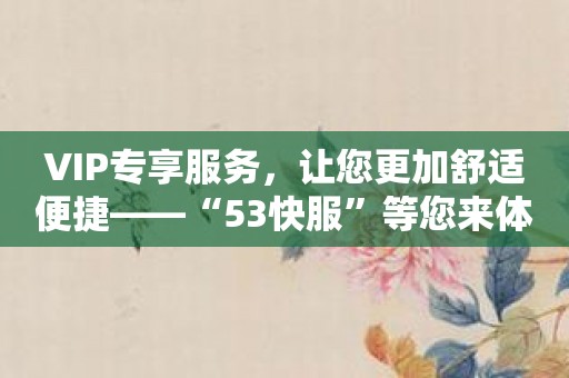 VIP专享服务，让您更加舒适便捷——“53快服”等您来体验