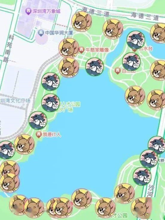 年轻人玩“躲猫猫”有多野 把地图App都干懵了