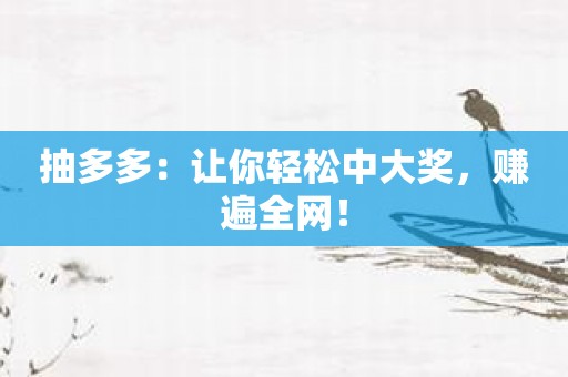 抽多多：让你轻松中大奖，赚遍全网！
