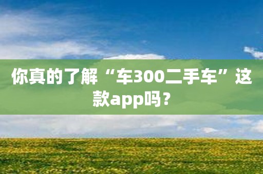 你真的了解“车300二手车”这款app吗？