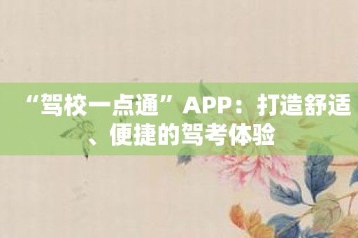 “驾校一点通”APP：打造舒适、便捷的驾考体验