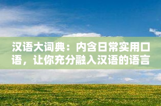 汉语大词典：内含日常实用口语，让你充分融入汉语的语言世界！