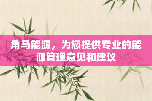 角马能源，为您提供专业的能源管理意见和建议