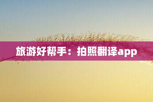 旅游好帮手：拍照翻译app