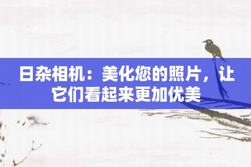 日杂相机：美化您的照片，让它们看起来更加优美