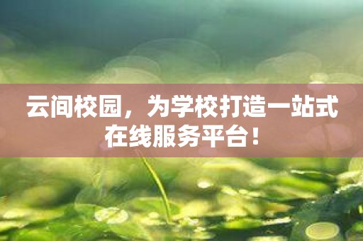 云间校园，为学校打造一站式在线服务平台！