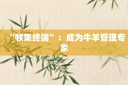 “牧集终端”：成为牛羊管理专家