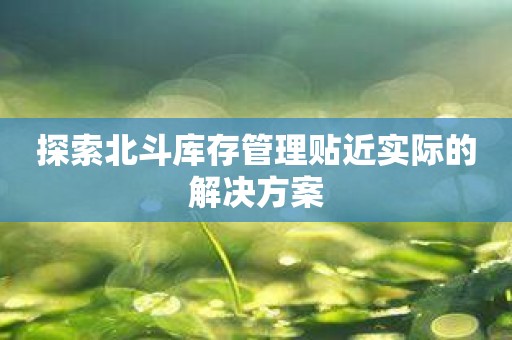 探索北斗库存管理贴近实际的解决方案