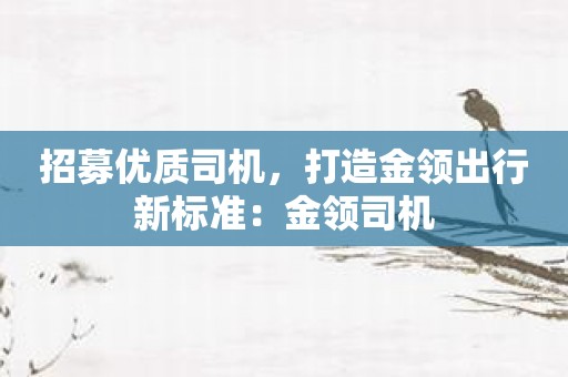 招募优质司机，打造金领出行新标准：金领司机