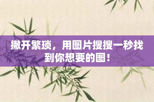 撇开繁琐，用图片搜搜一秒找到你想要的图！