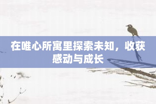 在唯心所寓里探索未知，收获感动与成长