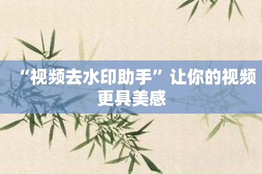 “视频去水印助手”让你的视频更具美感
