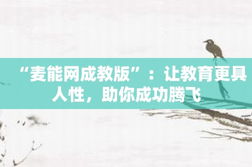 “麦能网成教版”：让教育更具人性，助你成功腾飞