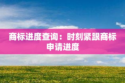 商标进度查询：时刻紧跟商标申请进度