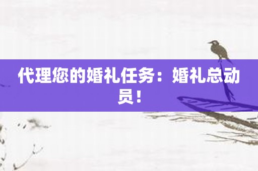 代理您的婚礼任务：婚礼总动员！
