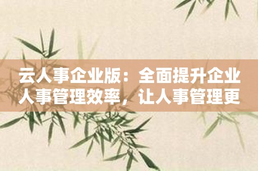 云人事企业版：全面提升企业人事管理效率，让人事管理更科学！