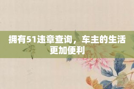 拥有51违章查询，车主的生活更加便利