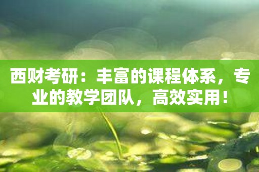 西财考研：丰富的课程体系，专业的教学团队，高效实用！