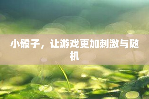 小骰子，让游戏更加刺激与随机
