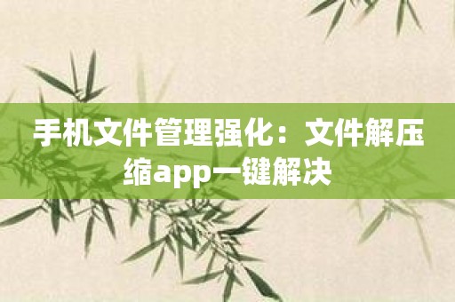 手机文件管理强化：文件解压缩app一键解决