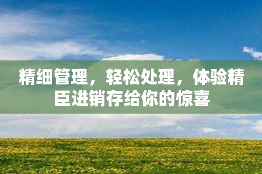 精细管理，轻松处理，体验精臣进销存给你的惊喜