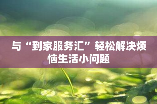 与“到家服务汇”轻松解决烦恼生活小问题
