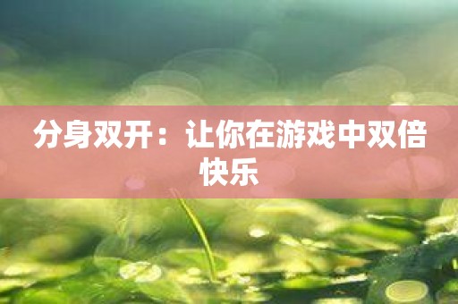 分身双开：让你在游戏中双倍快乐