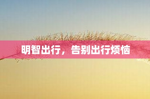 明智出行，告别出行烦恼