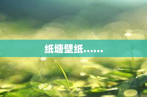纸塘壁纸……