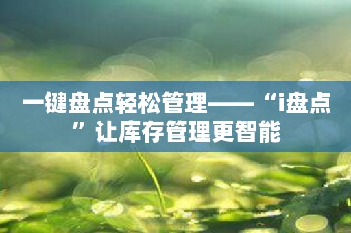 一键盘点轻松管理——“i盘点”让库存管理更智能