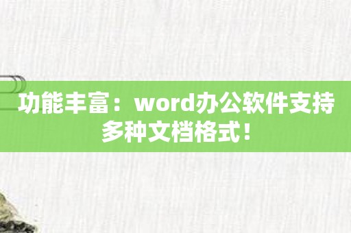 功能丰富：word办公软件支持多种文档格式！