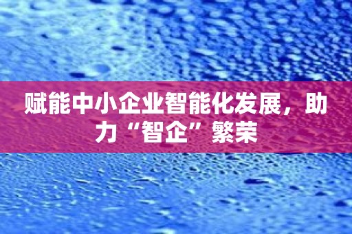 赋能中小企业智能化发展，助力“智企”繁荣