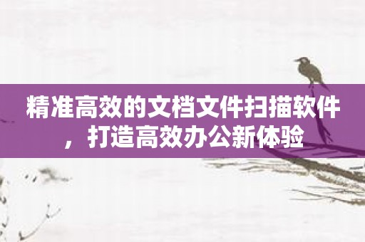 精准高效的文档文件扫描软件，打造高效办公新体验
