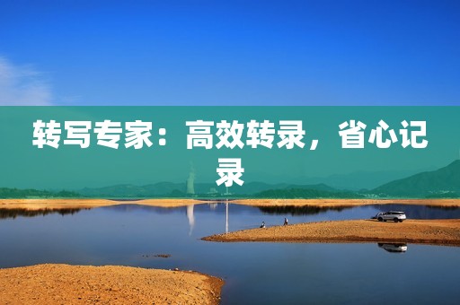 转写专家：高效转录，省心记录