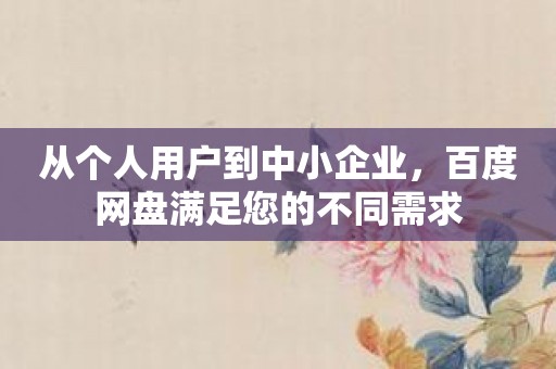从个人用户到中小企业，百度网盘满足您的不同需求