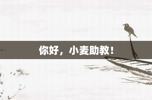 你好，小麦助教！