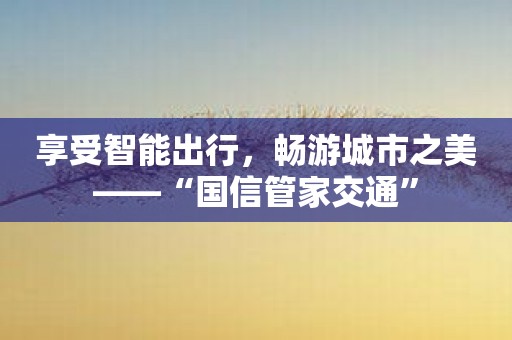 享受智能出行，畅游城市之美——“国信管家交通”