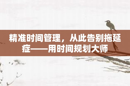 精准时间管理，从此告别拖延症——用时间规划大师