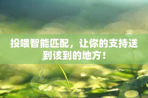 投喂智能匹配，让你的支持送到该到的地方！