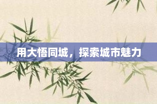 用大悟同城，探索城市魅力