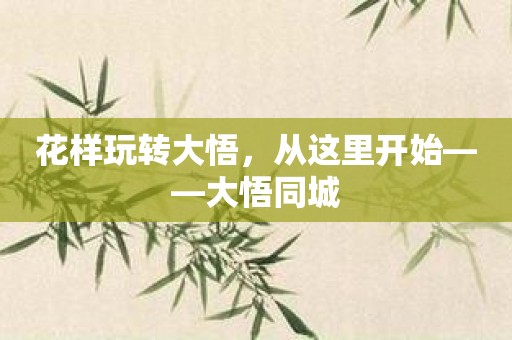 花样玩转大悟，从这里开始——大悟同城