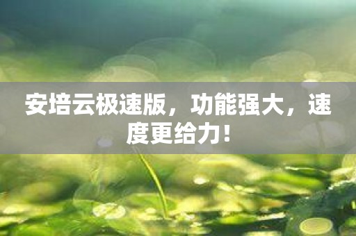安培云极速版，功能强大，速度更给力！
