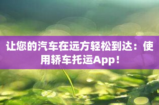 让您的汽车在远方轻松到达：使用轿车托运App！