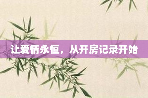 让爱情永恒，从开房记录开始