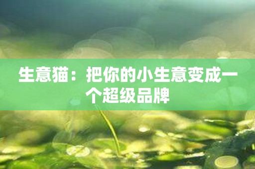 生意猫：把你的小生意变成一个超级品牌