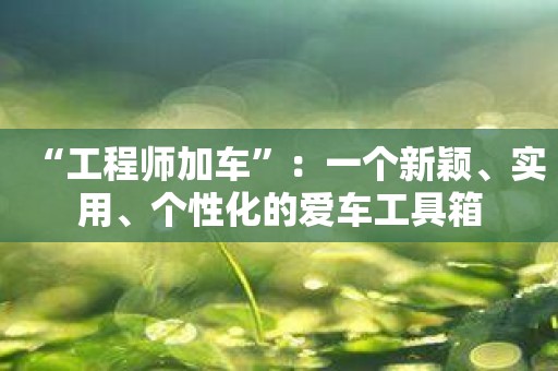“工程师加车”：一个新颖、实用、个性化的爱车工具箱