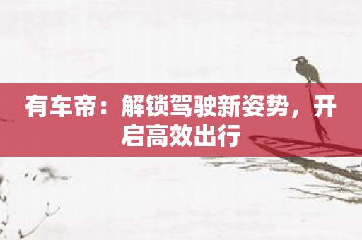 有车帝：解锁驾驶新姿势，开启高效出行